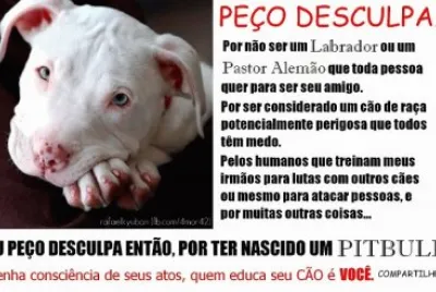 PeÃ§o Desculpas
