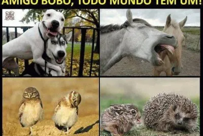 Amigo FELIZ...