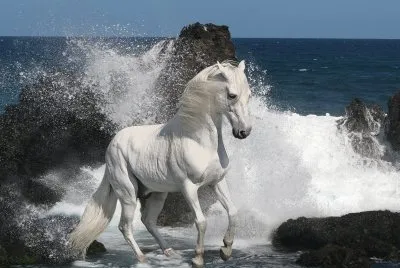 AlazÃ£o
