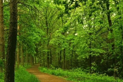 PAISAJE jigsaw puzzle