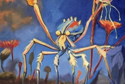 spider