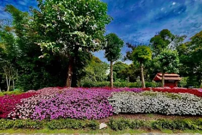 Buenos Aires Jardín Japones-1