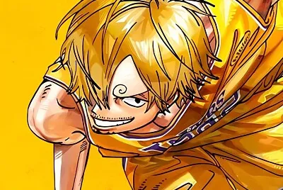 sanji jigsaw puzzle