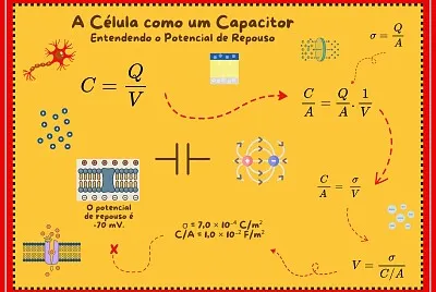 Potencial de repouso jigsaw puzzle