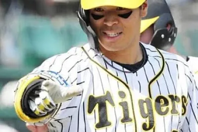 HIDEYUKI HIROTA jigsaw puzzle