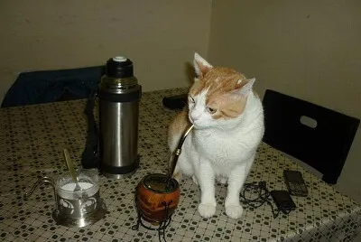 פאזל של Gato matero