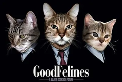 פאזל של Gatos buenos