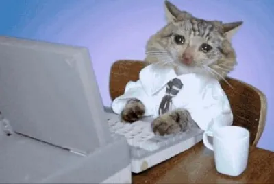 פאזל של Gato trabajador depresivo