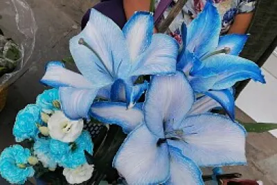 Flores azules
