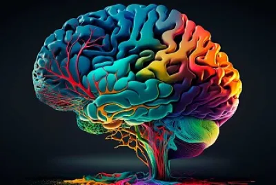 CEREBRO