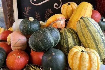 Display of autumn squash