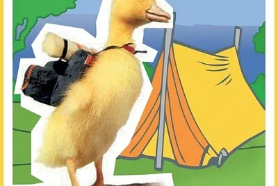 Saturnin fait du camping