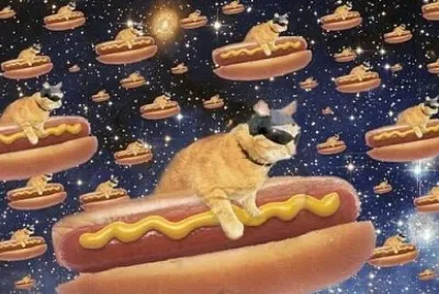 פאזל של Gato pancho