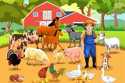 farm animals