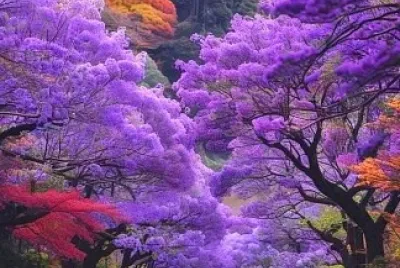 naturaleza