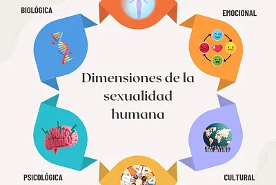 la sexualidad humana