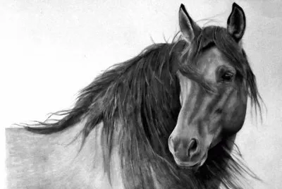 פאזל של Caballos9