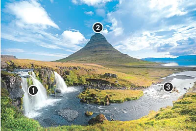 Wild-1 jigsaw puzzle