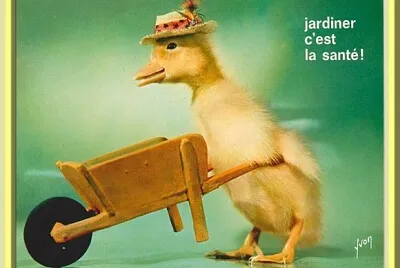 Saturnin