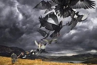 פאזל של David Gilmour