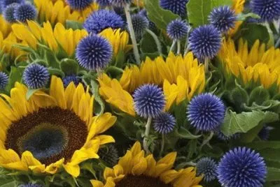 sunflowers jigsaw puzzle