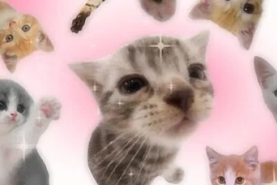 פאזל של Gato cute