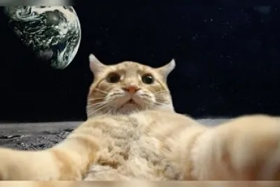 פאזל של Gato en el espacio