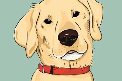 chien