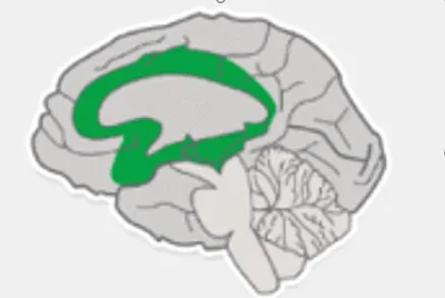 RESUELVE EL SIGUIENTE RETO Y DESCUBRE LA IMAGEN