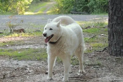 Bella