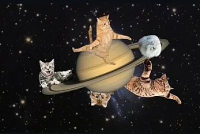 פאזל של Gatos en saturno