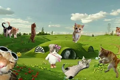 פאזל של Gatos de paseo