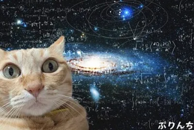 פאזל של Gato tonto