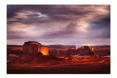 Arizona Desert Beauty