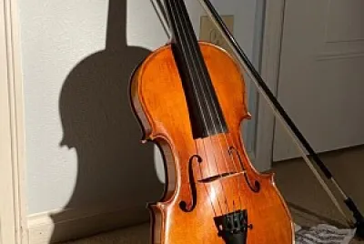 Violin
