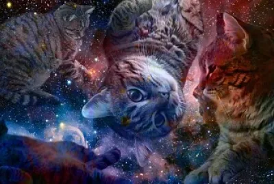 פאזל של Gato en el espacio 2