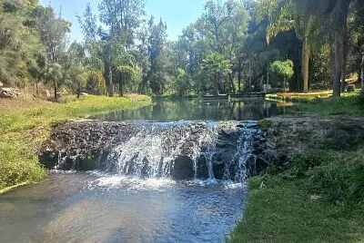 Paisaje bosque