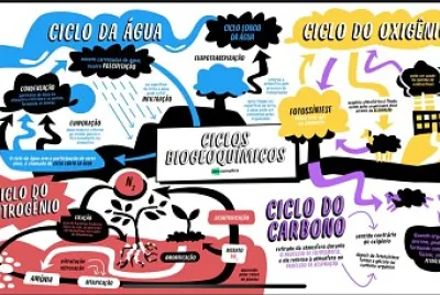 ciclos