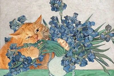 Gato comiendo flores
