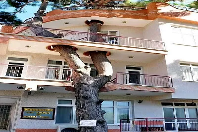 LA CAZONA