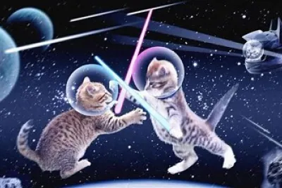 פאזל של Gatos pelando en el espacio