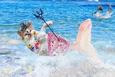 פאזל של Gato sirena