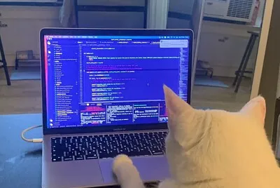 פאזל של Gato hacker