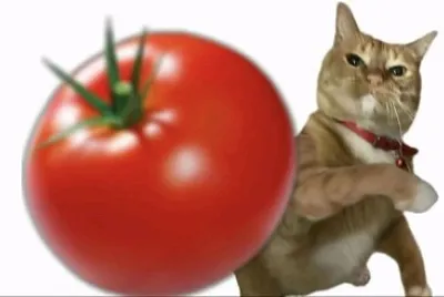 פאזל של Gato hater