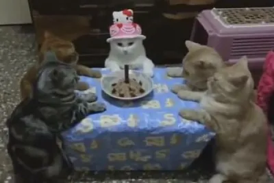פאזל של Cumple gatos