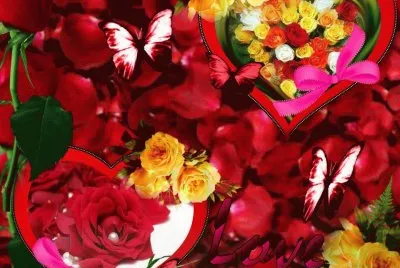 Diversas Rosas