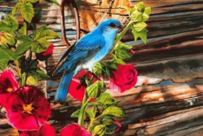 PÃ¡ssaro Azul