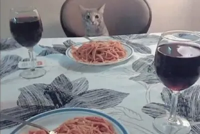 פאזל של Gato en primera cita