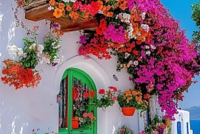 Casa y buganvillas