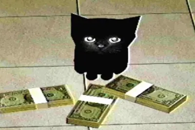 פאזל של Gato chorro